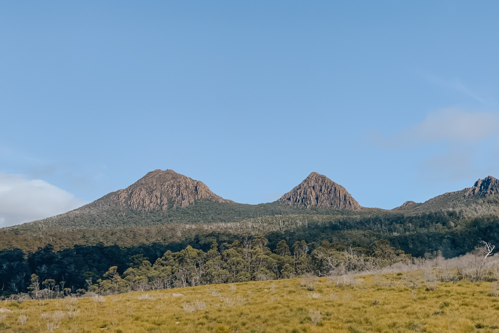 bright sunny day with lime green fields and rugged peaks in the distance with blue sky on a Tasmania driving itinerary