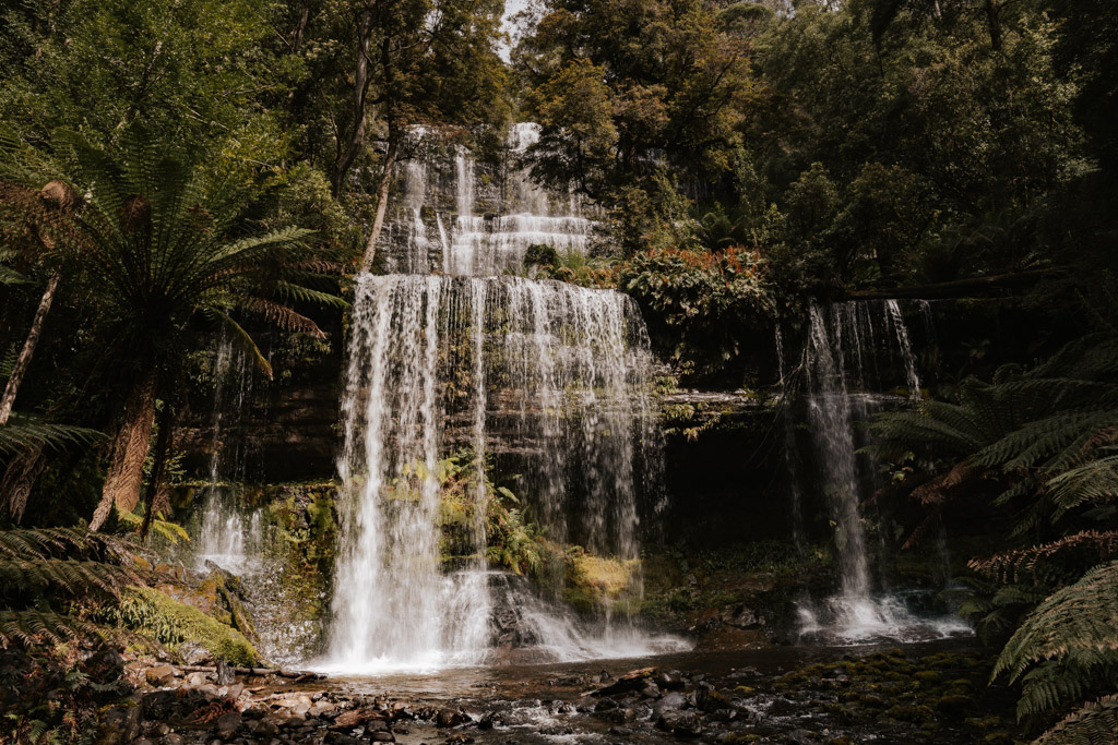 thundering Russell Falls in Mount Field National Park
