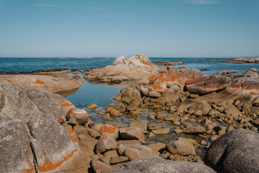boulders of many different sizes scattered along a coastline with calm tidal pools and orange lichen in Bay of Fires Conservation Area