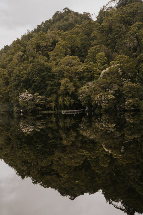 very clear reflection of the greenery along Gordon River in Tasmania