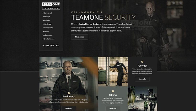 Team One Security