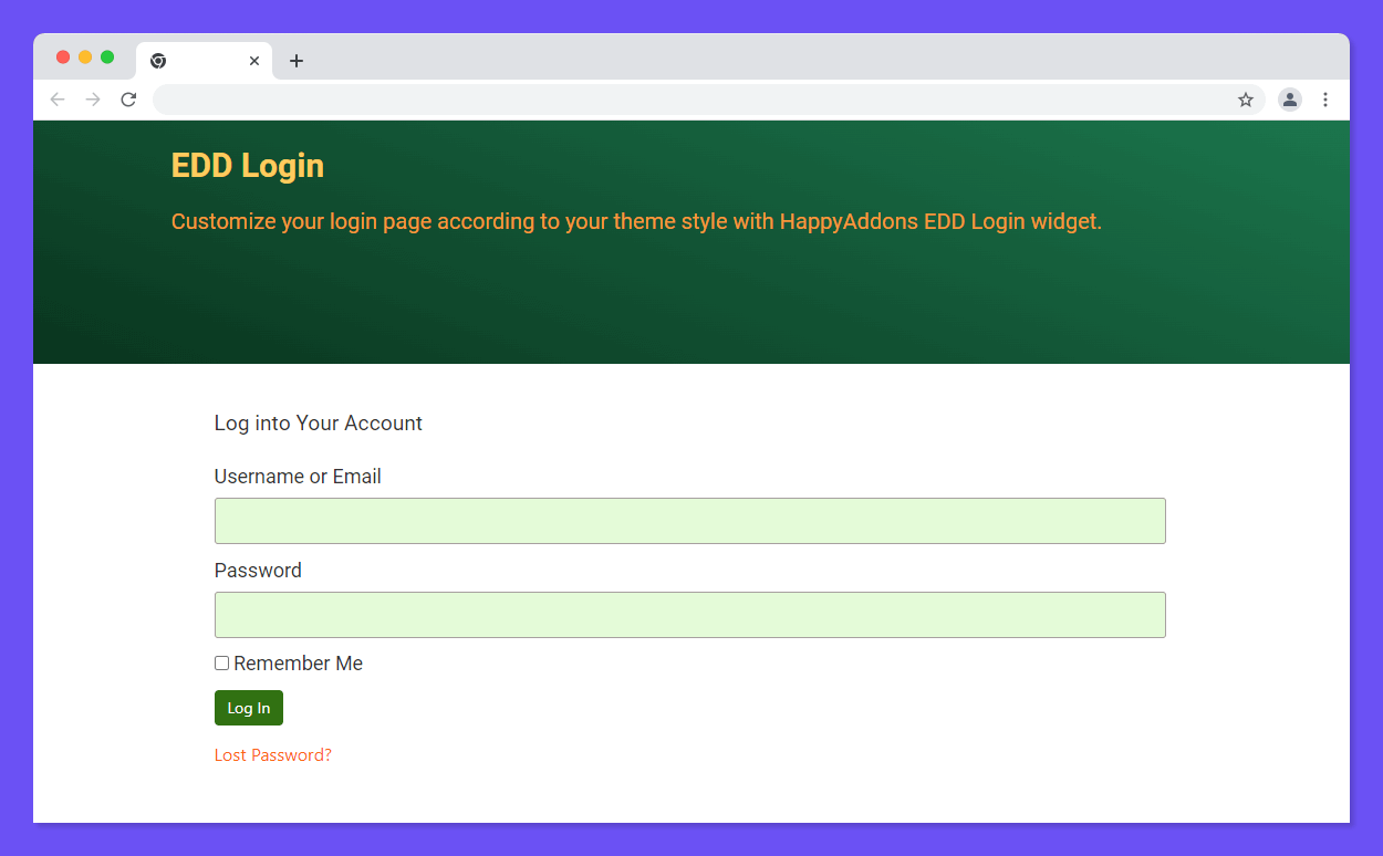 Final Preview of Login Form
