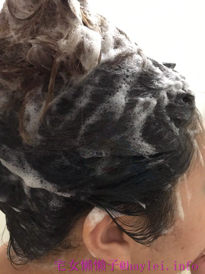 Aromase 艾瑪絲－專業解放頭皮困擾的深層對策！少些負擔，人更清爽！ 去屑止癢洗髮精、5α捷利爾頭皮淨化液　 保養品分享 健康養身 民生資訊分享 美髮相關 