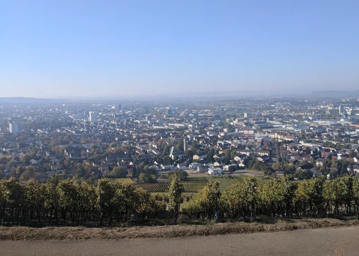 View from Wartberg