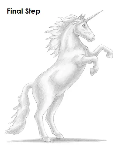 Realistic Full Body Unicorn Drawing