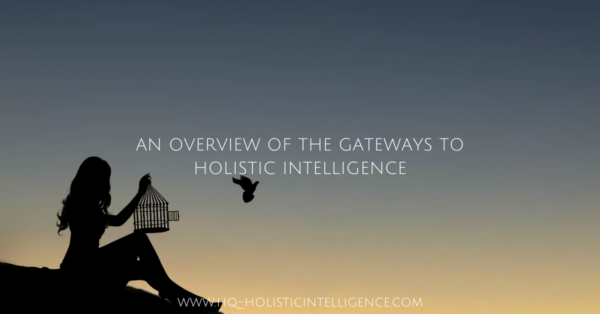 An Overview of the Gateways by HQ - Holistic Intelligence