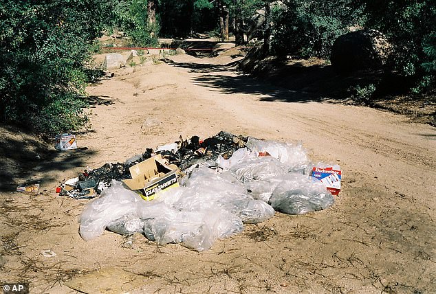 Pamela Pitts' body was found burned beyond recognition in 1988 among a pile of trash outside Prescott, Arizona