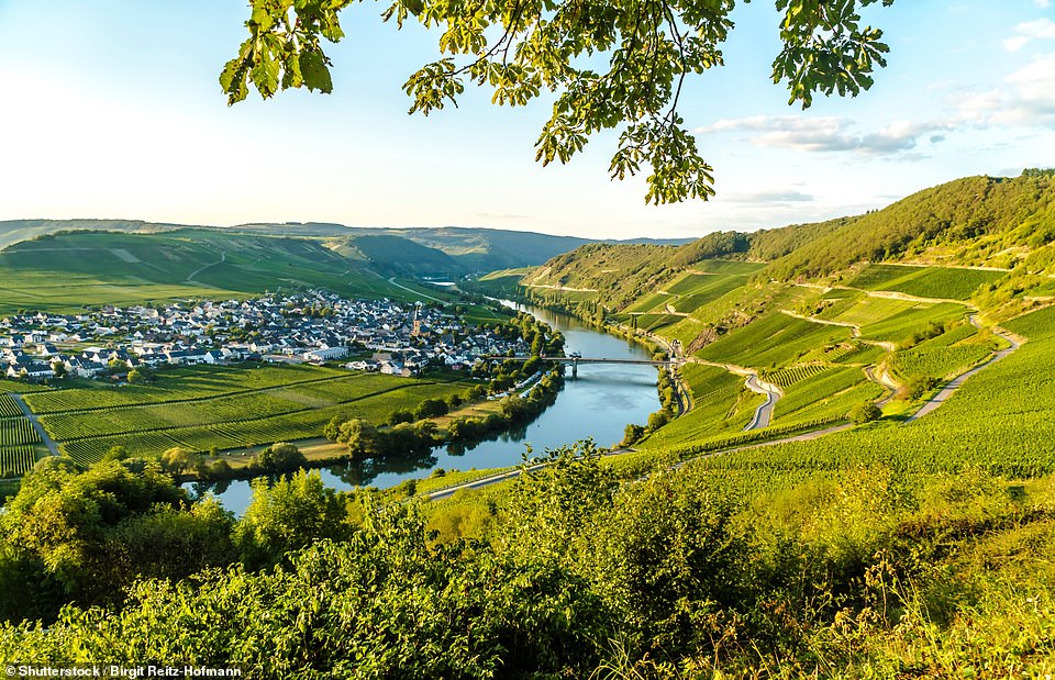 Germany's Moselle valley, pictured above, is synonymous with crisp floral white wines, which you can sample on a cruise along the Moselle river