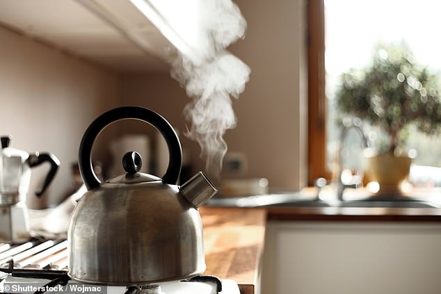A study, which analysed Britons' packing habits, found that one in 20 travellers holidaying in self-catering accommodation has admitted to packing a kettle