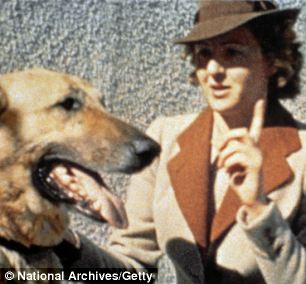 Eva Braun and Blondi, Adolf Hitler's German shepherd