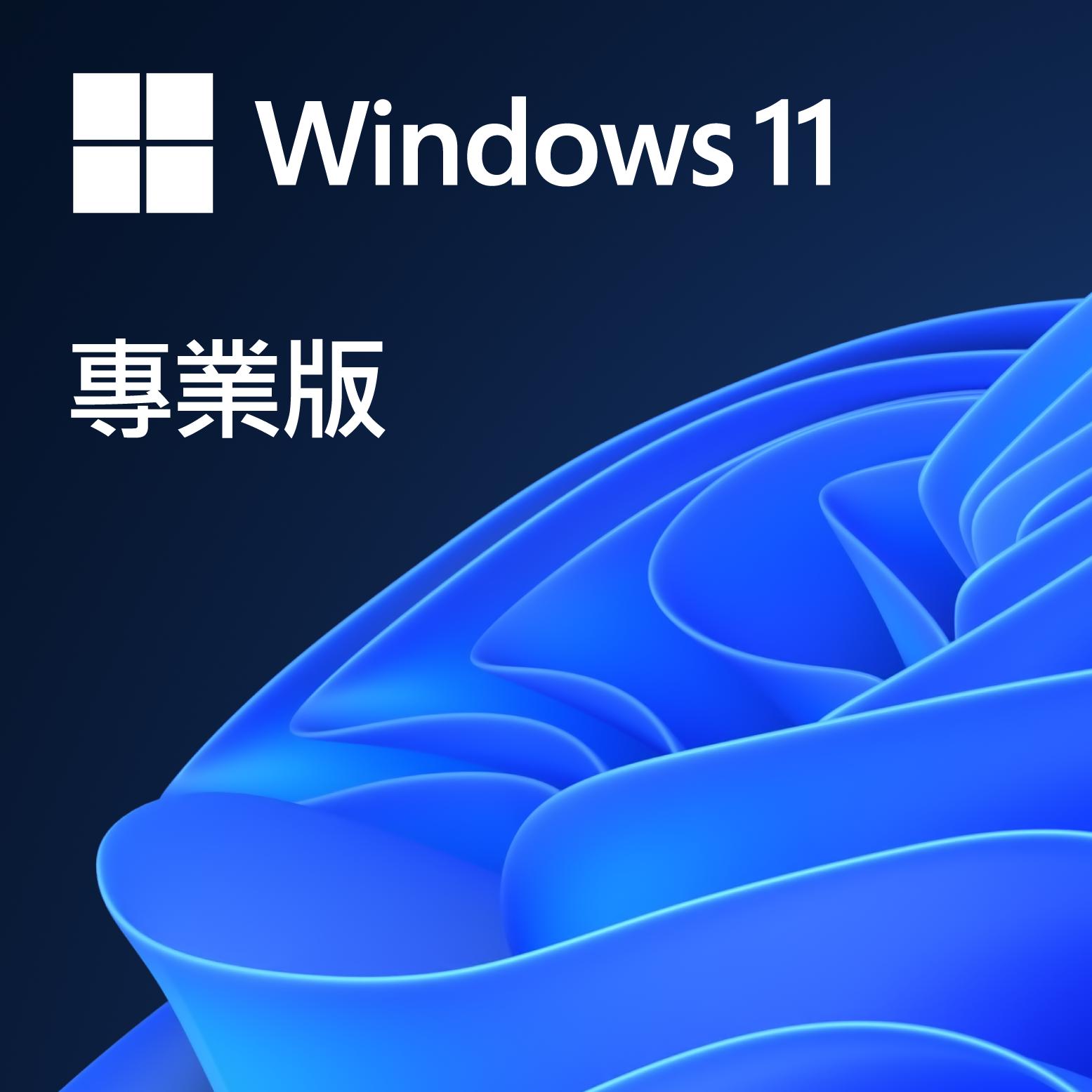 Microsoft 微軟 Windows 11 Pro 專業版 (OEM 跟機)