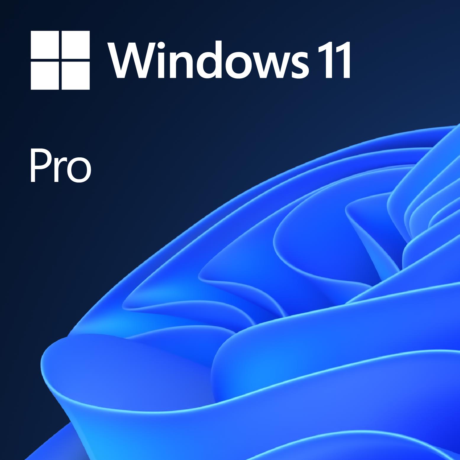 Microsoft 微軟 Windows 11 Pro 專業版 英文 (OEM 跟機)