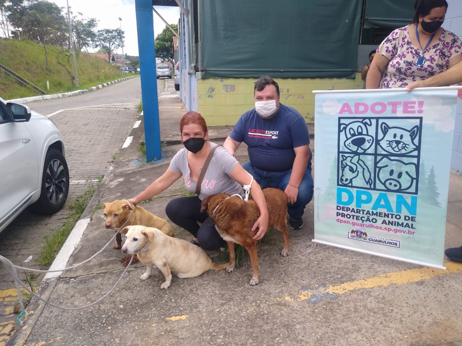 Cães idosos do abrigo de Guarulhos são adotados por veterinária
