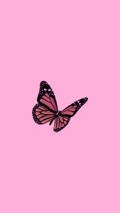 Featured image of post Cute Wallpapers Aesthetic Butterfly : Butterfly pattern butterfly wallpaper cute wallpaper.