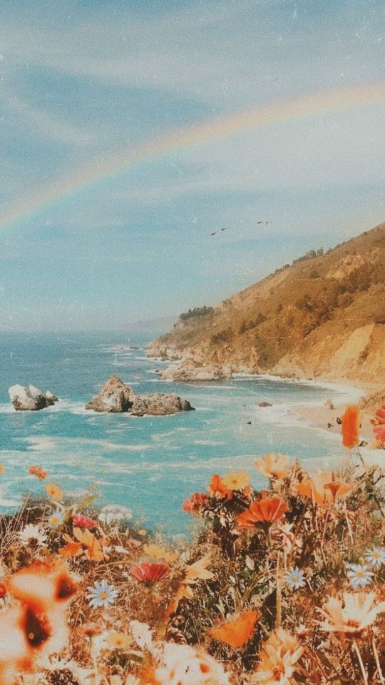 Beach Aesthetic Collage Wallpaper Iphone
