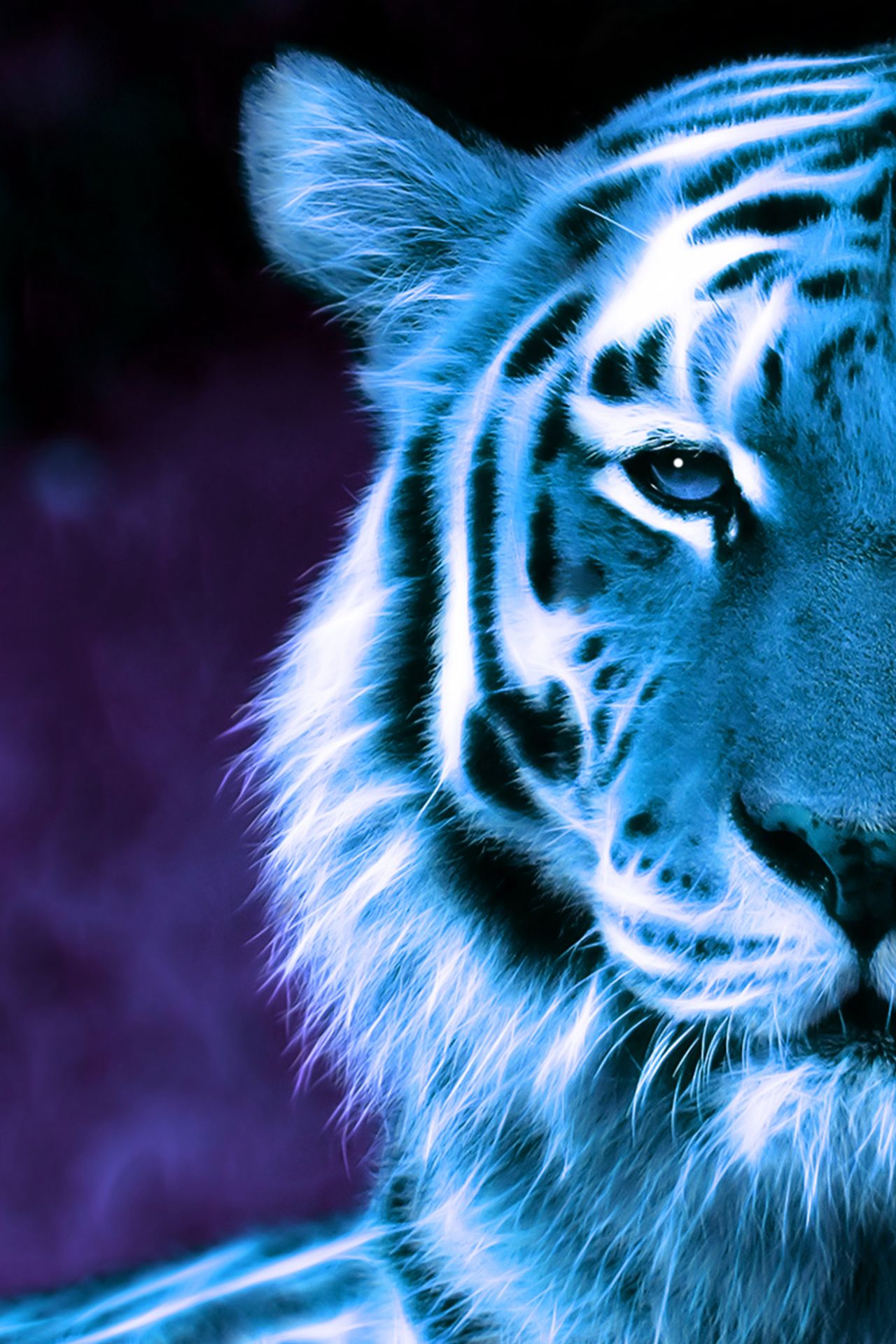 3d Animation Wallpaper Iphone Hd 1080p Tiger