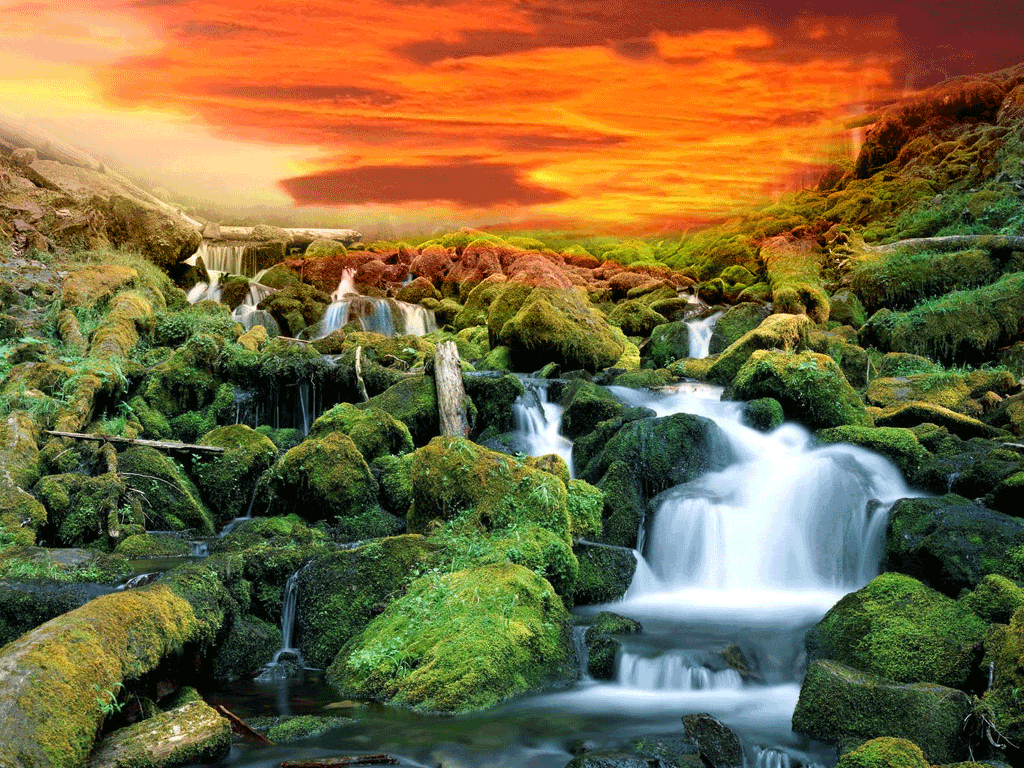 Nature Wallpaper Photo Gallery Download Gif