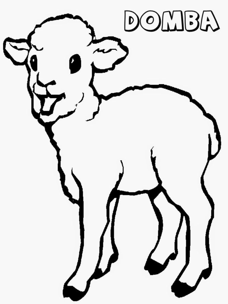 Mewarnai Gambar Domba Kartun Lucu