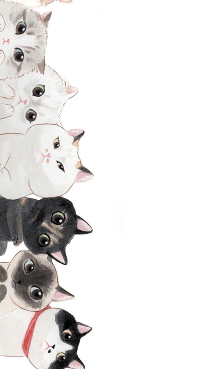 Wallpaper Gambar Kucing Kartun