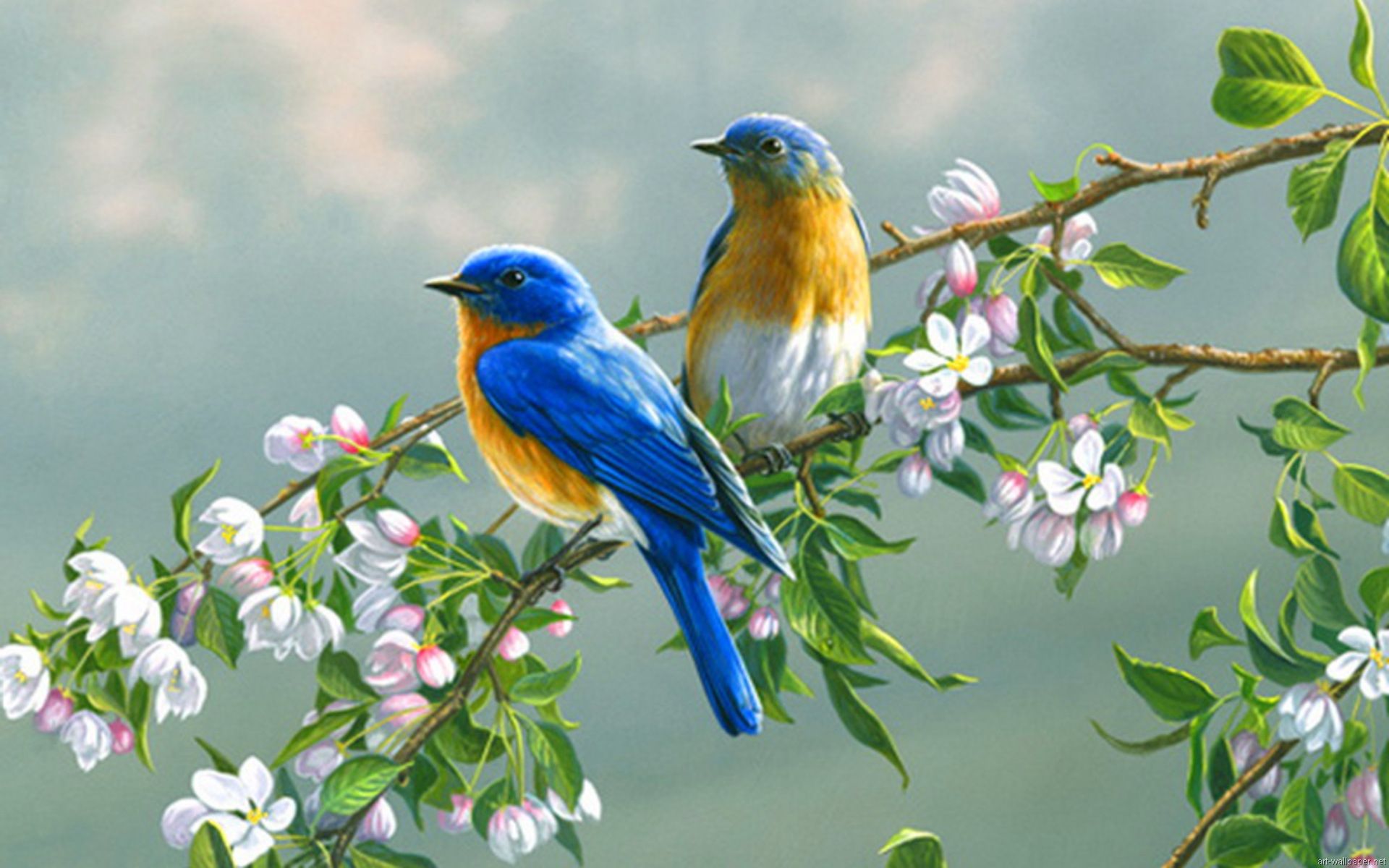 Nature Beautiful Wallpaper Full Hd Birds