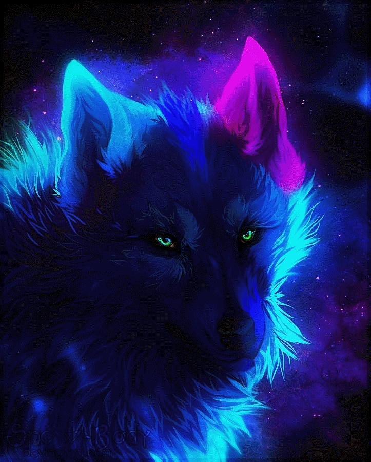 Featured image of post Epic Galaxy Cool Wolf Wallpapers There are few creatures more fearsome and mighty than the wolf and there s no better place to find a wolf wallpaper than unsplash