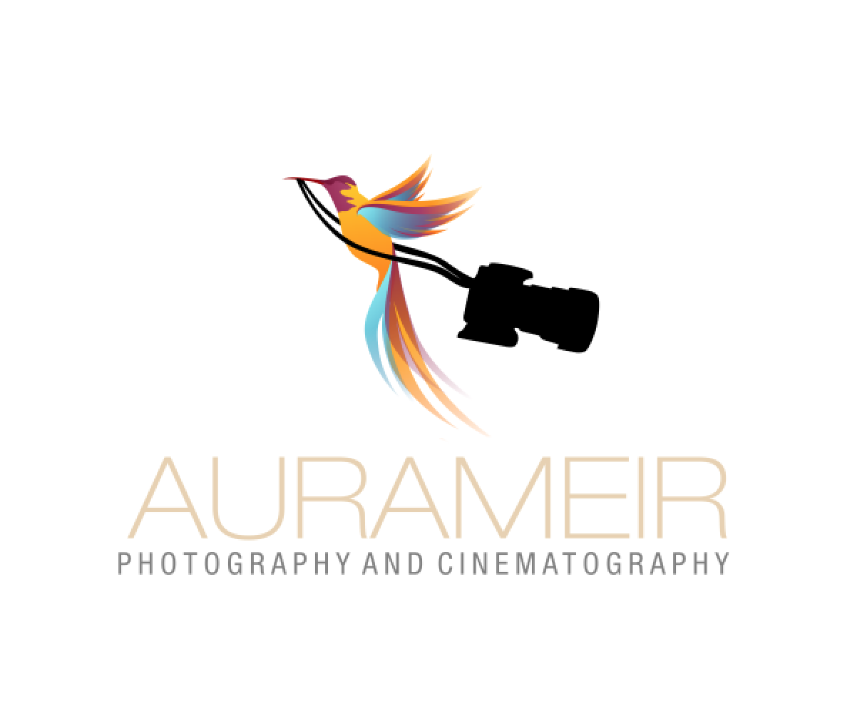 Photography Logo Png Hd Free Download