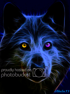 Featured image of post Wolf Wallpaper Gif Here are only the best animated wolf wallpapers