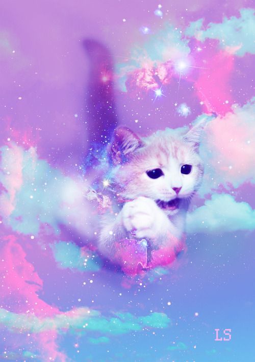 Kawaii Galaxy Cat Wallpaper