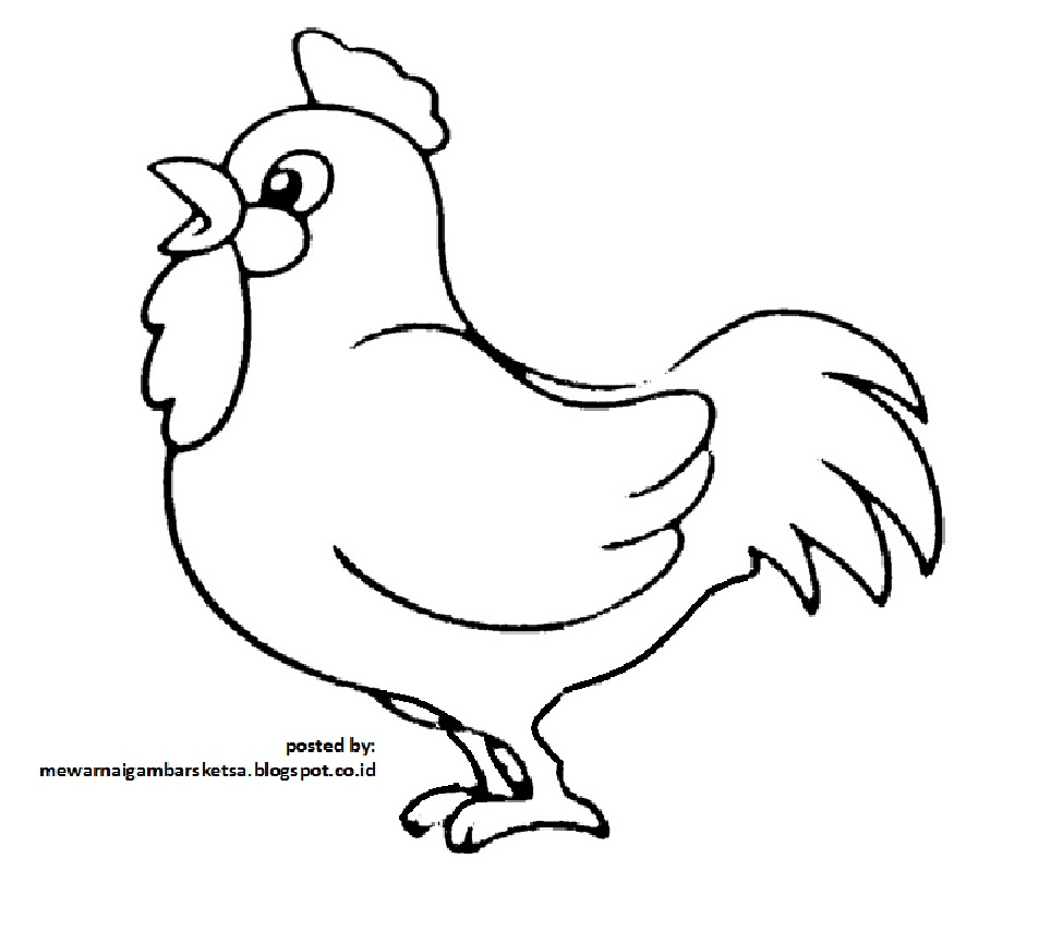 Gambar Binatang Ayam Kartun