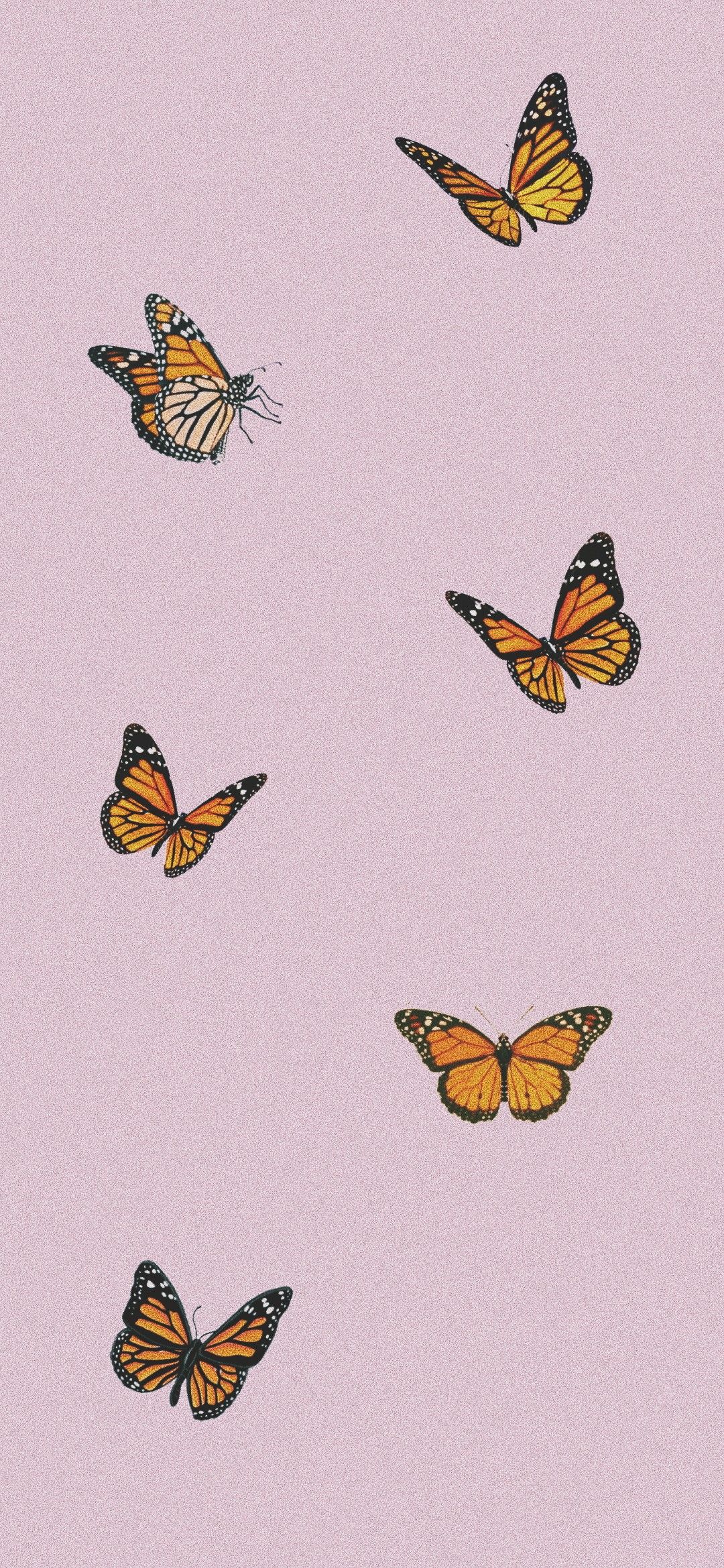 Aesthetic Butterfly Wallpaper Pink