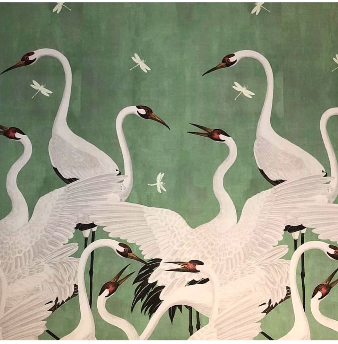 gucci heron wallpaper green
