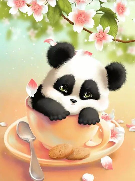 Pin de Aviloshini en wallpapers Pandas animados, Pandas, Fondos de