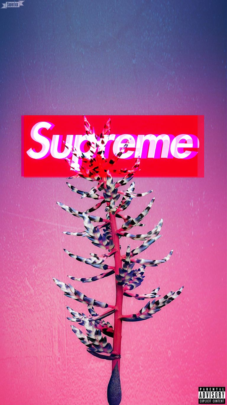 Supreme Wallpaper For Iphone 11