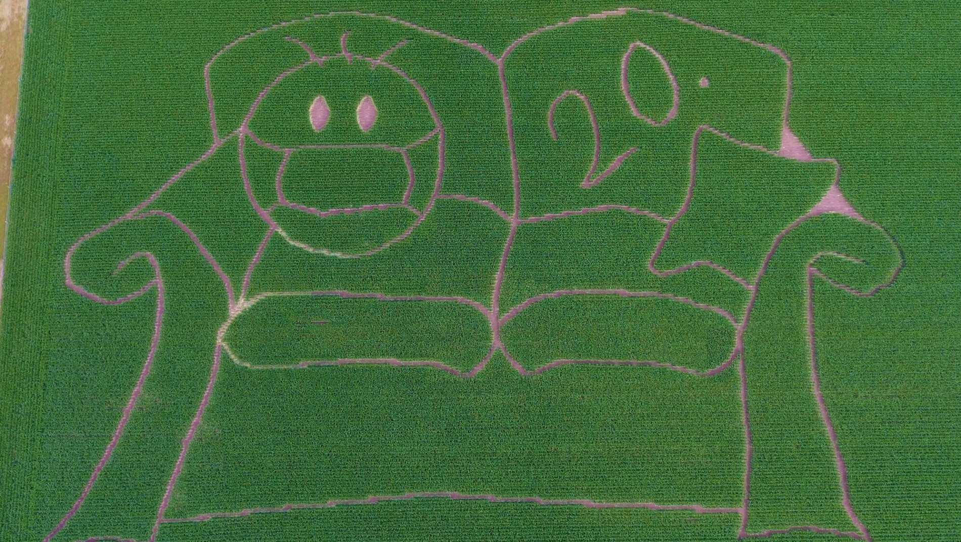 Frisch Saisonal Und Lokal Einkaufen Bei Den Hofladen In Osnabruck