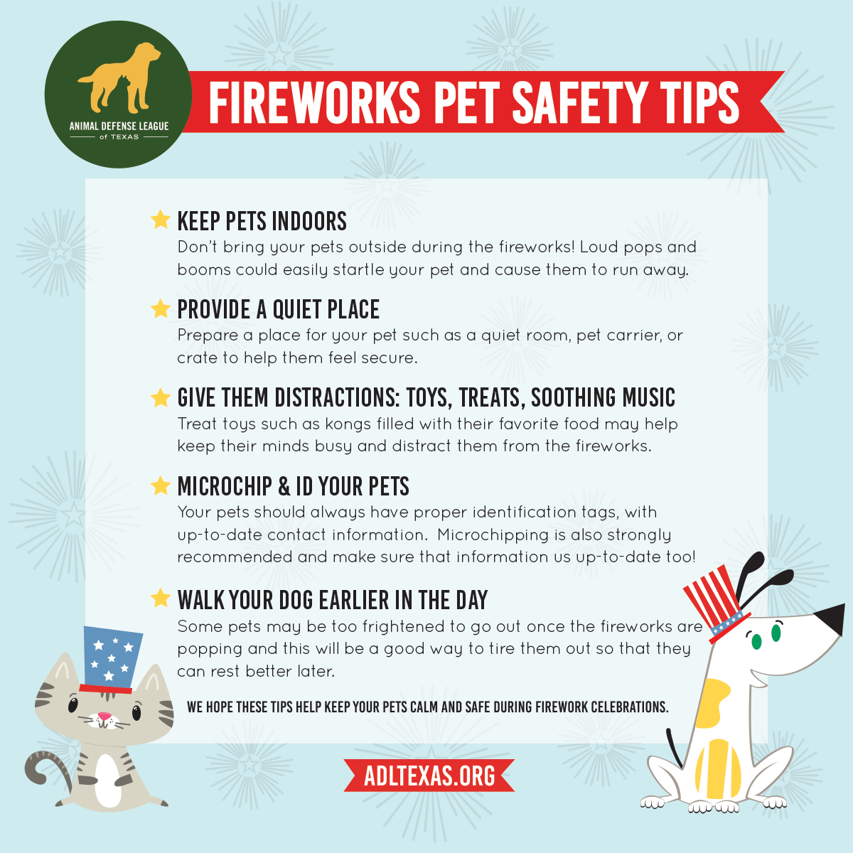 How To Keep Your Dog Calm During Fireworks And Storms