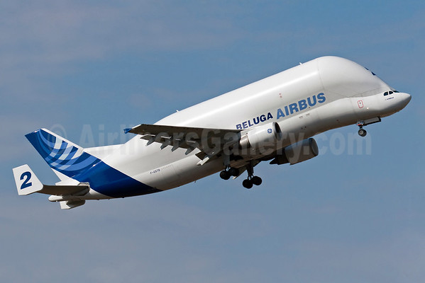 The Beluga Fleet Celebrates 20 Years Of Flying World Airline News