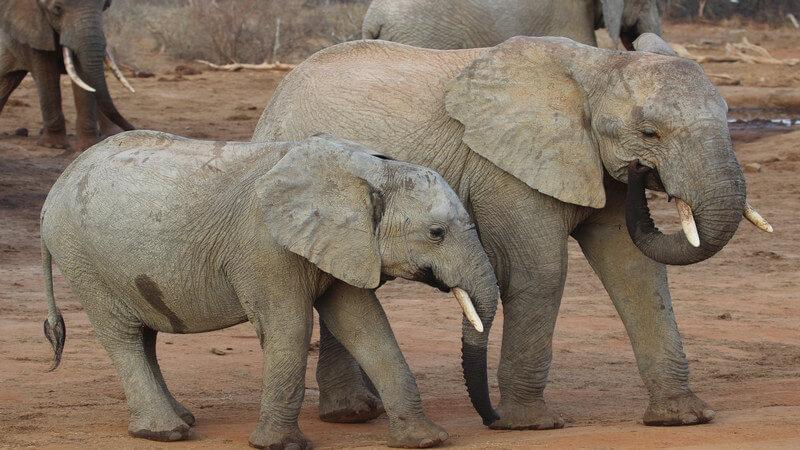 10 Best Cities to Visit in Africa 6 Nairobi, Kenya