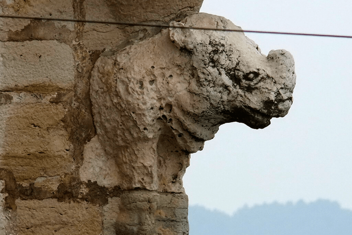 Lisboa pelos animais: o estranho rinoceronte da Torre de Belém