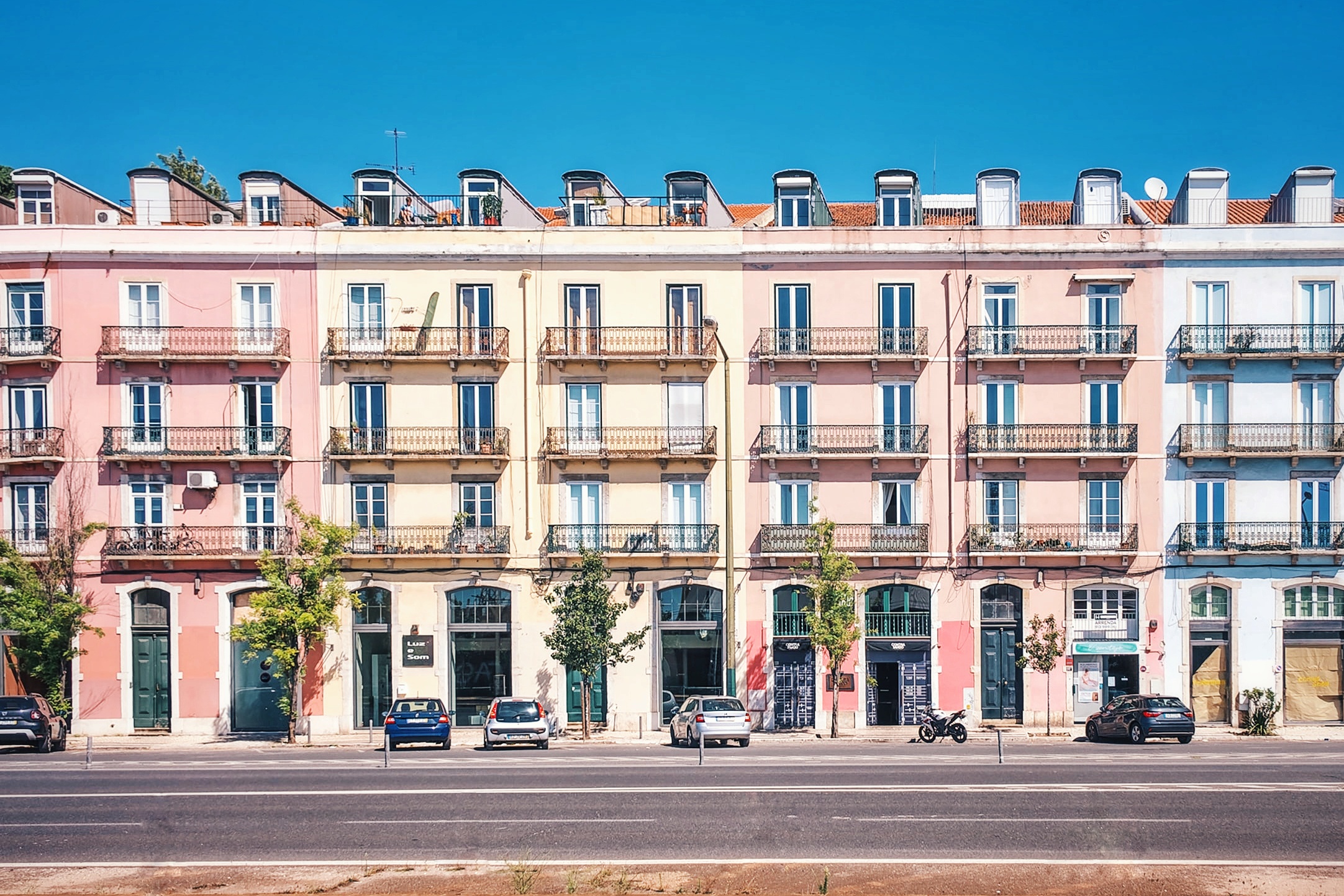 Avenida 24 de Julho, Árvores em Lisboa