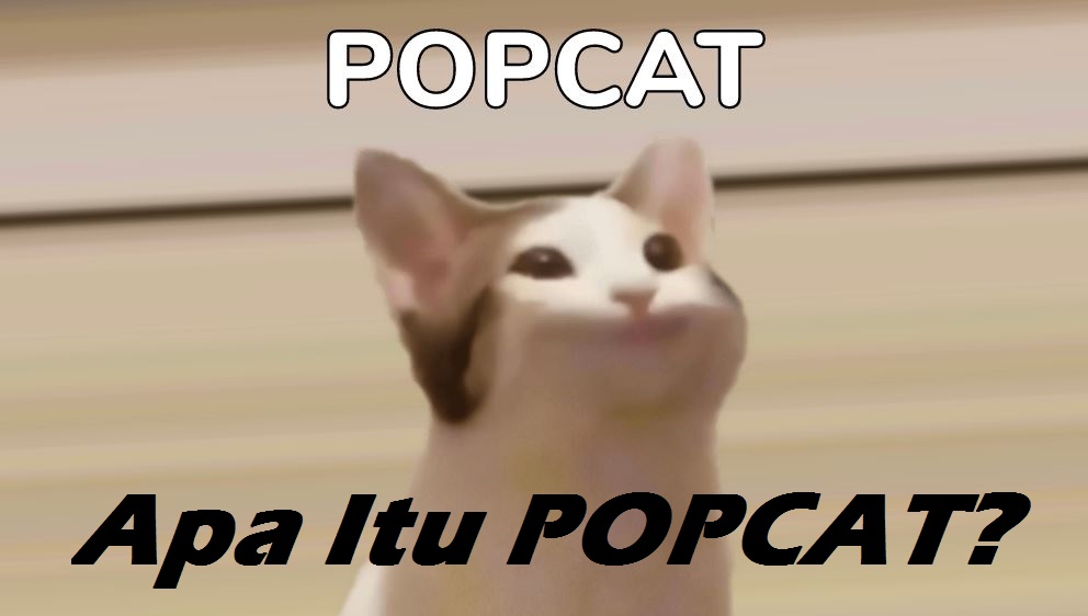 Apa Popcat Maksud Popcat Kenapa Viral Amirnawawi