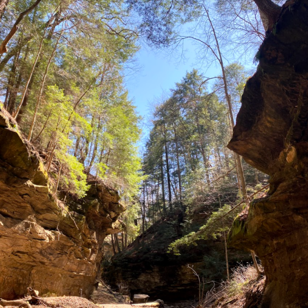 Visit Turkey Run State Park In Beautiful Indiana A Nature Escape