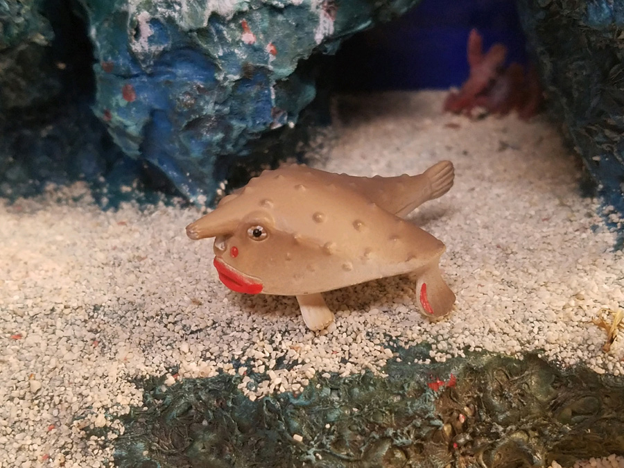Red Lipped Batfish An Encyclopedia Of Living Things Why Did This Happen By Takara Tomy A R T S Animal Toy Blog