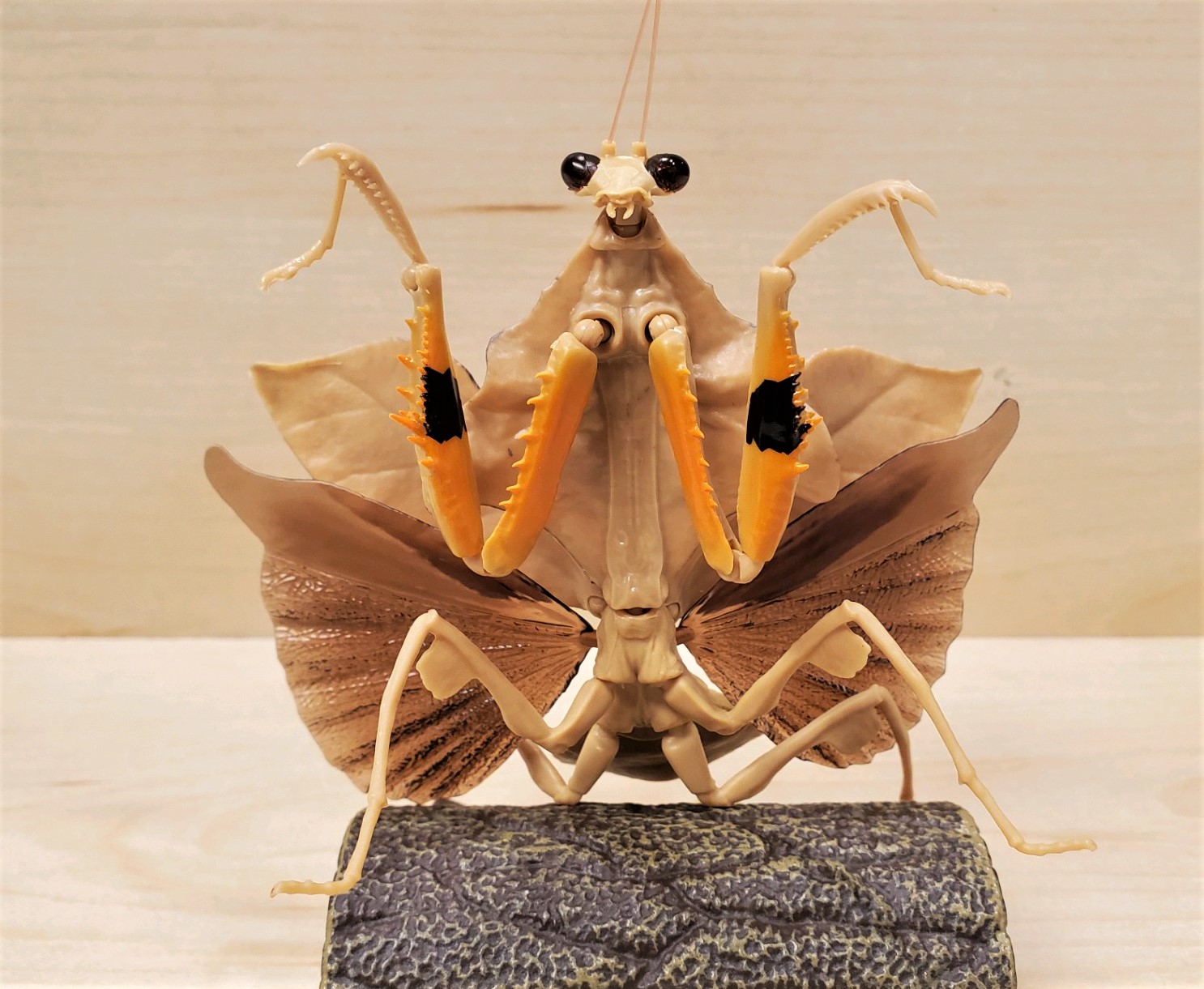 Southeast Asian Dead Leaf Mantis Diversity Of Life On Earth Japanese Giant Mantis Vol 2 By Bandai Animal Toy Blog