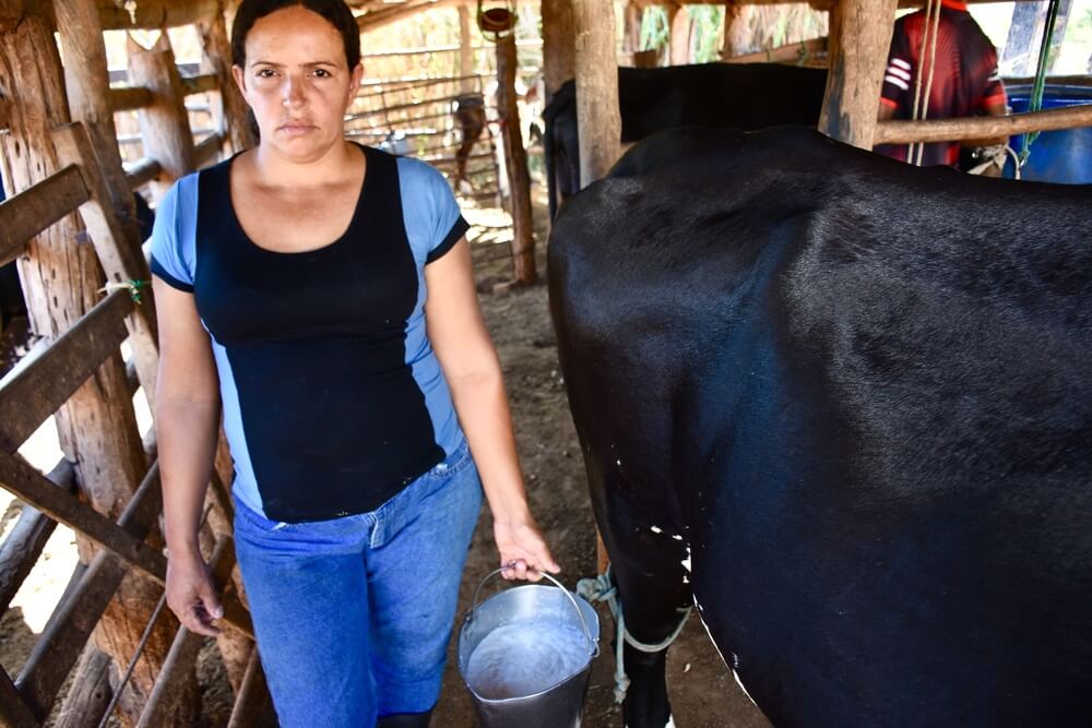 Moradora do Cerrado, a produtora rural Wislene Soares, é uma mulher branca com cabelos e olhos castanhos. Wislene veste camiseta preta e azul, e aparece ao lado de uma vaca segurando um balde de leite.