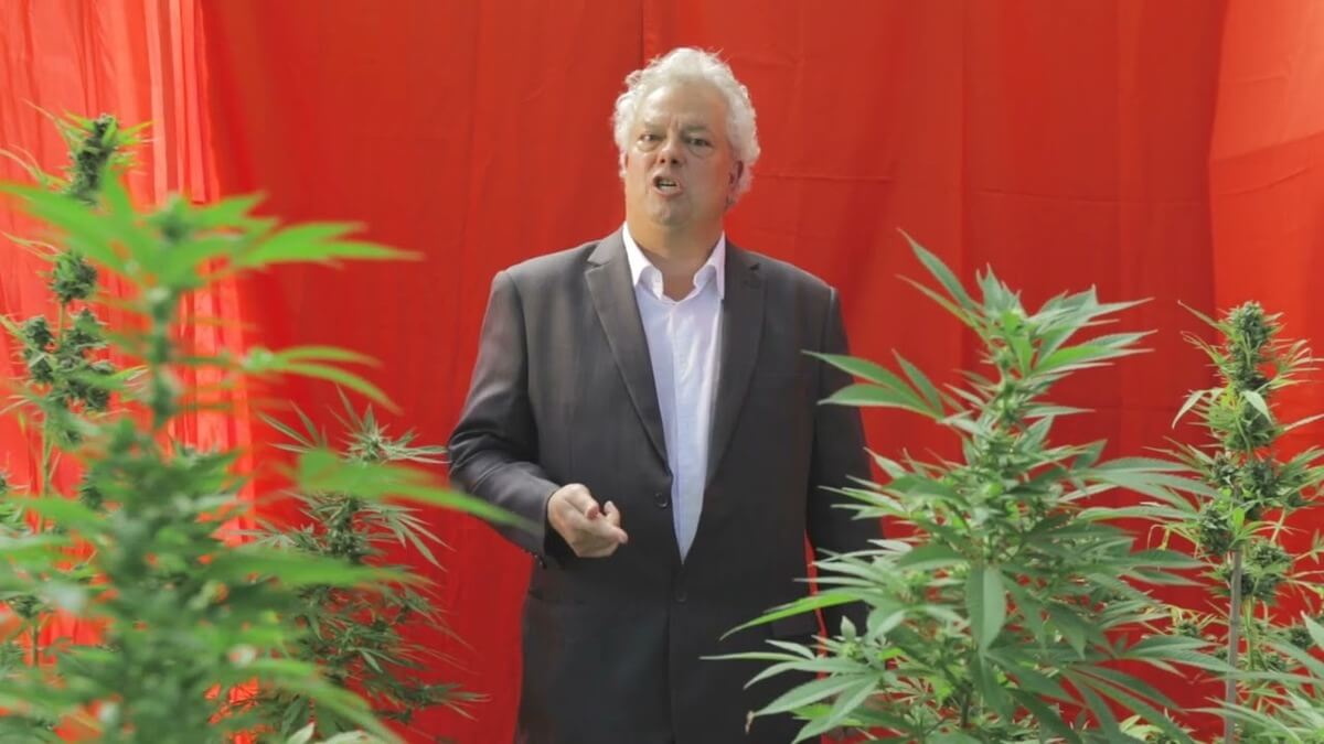 Reprodução da propaganda eleitoral do candidato a deputado federal André Barros, ele é um homem branco com cabelos grisalhos. Na imagem, ele aparece usando blaser e camisa ao lado de pés de maconha.