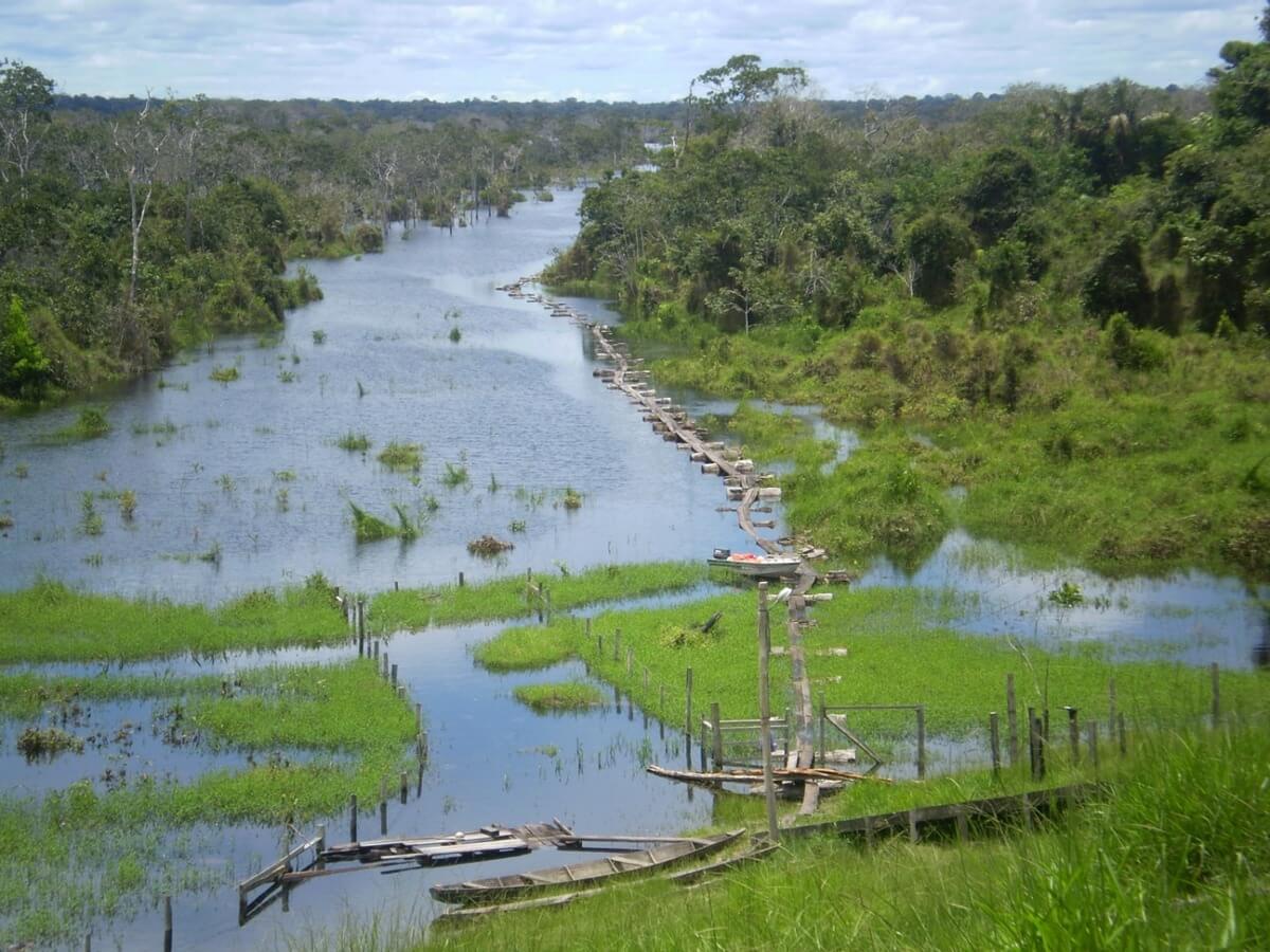 Floresta Nacional de Balata-Tufari.