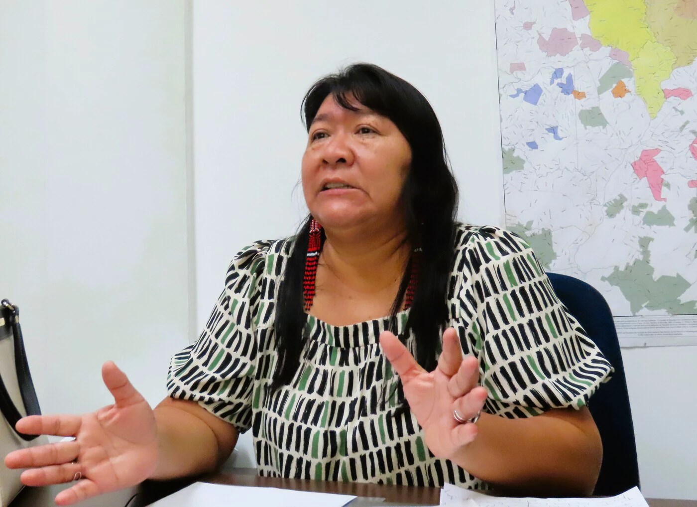 Joenia Wapichana, presidente da Funai, é uma mulher indígena de olhos escuros e cabelos negros. Ela veste camiseta de manga curta, com estampa nas cores branca, verde e preto. Ela usa brincos vermelhos.