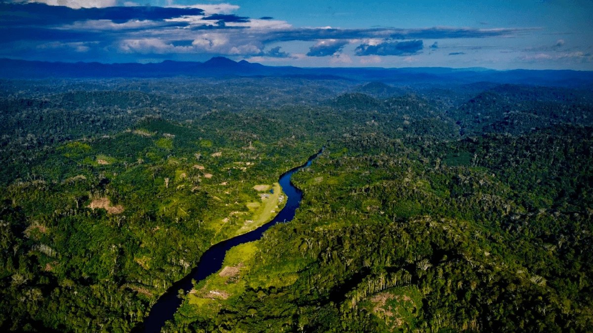 Vista aérea da aldeia Olomai, no território yanomami