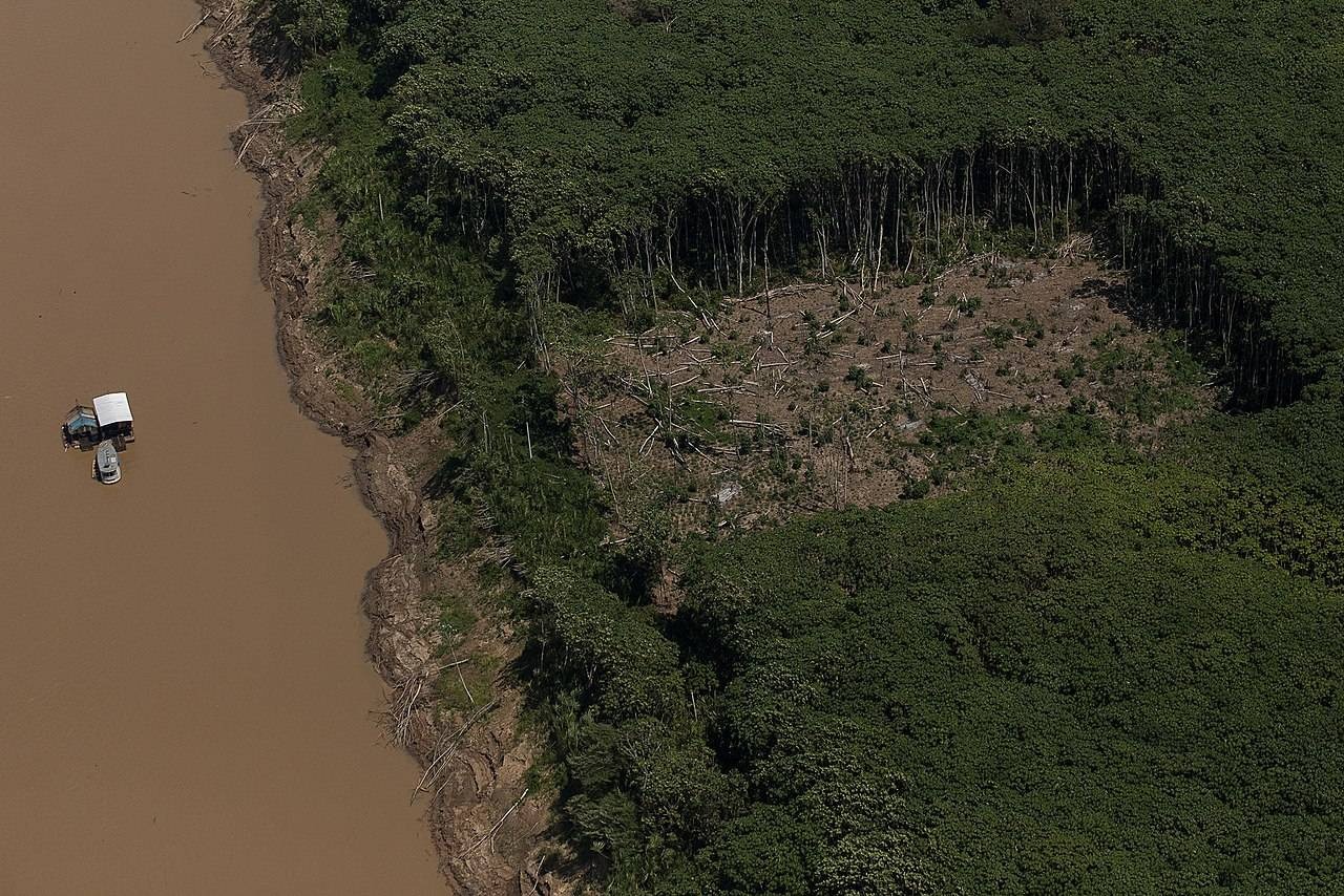 Imagem aérea de desmatamento na Amazônia. É possível ver um buraco desmatado em meio à floresta cheia