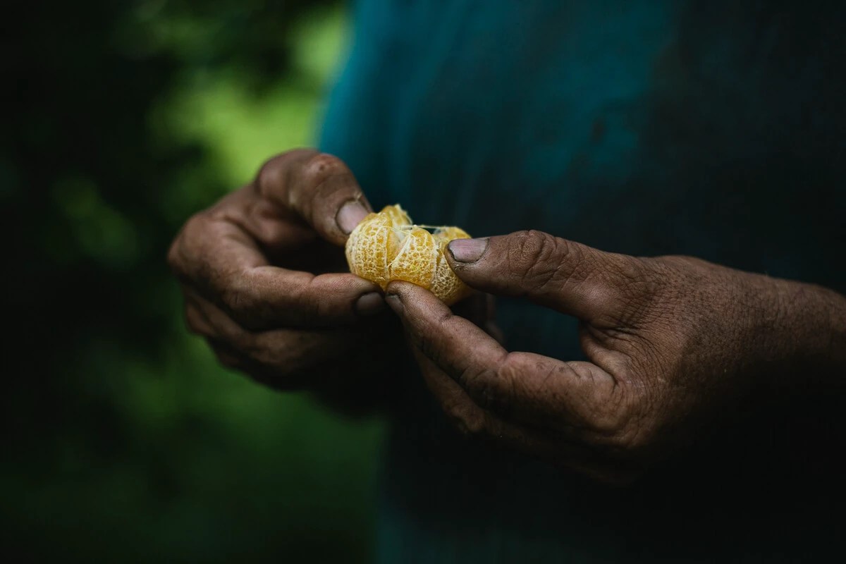 Fruto gerado por agricultores na Amazônia.